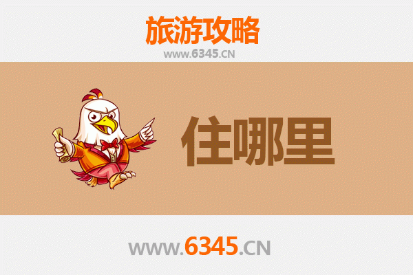 安阳殷都深度游：特色民宿攻略与沉浸式文化体验指南